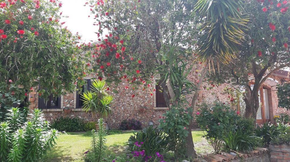 Agriturismo Pingitore Luzzi Exterior photo