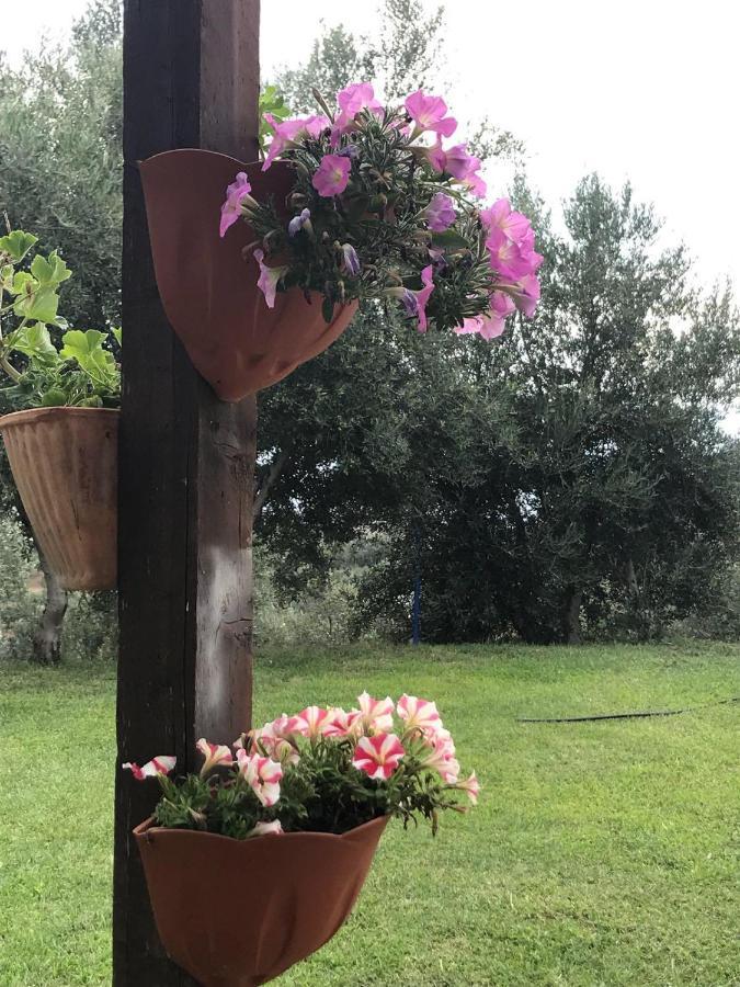 Agriturismo Pingitore Luzzi Exterior photo
